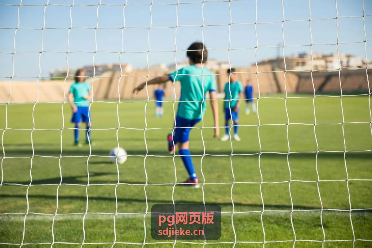 PG网页版功能模块入口示意